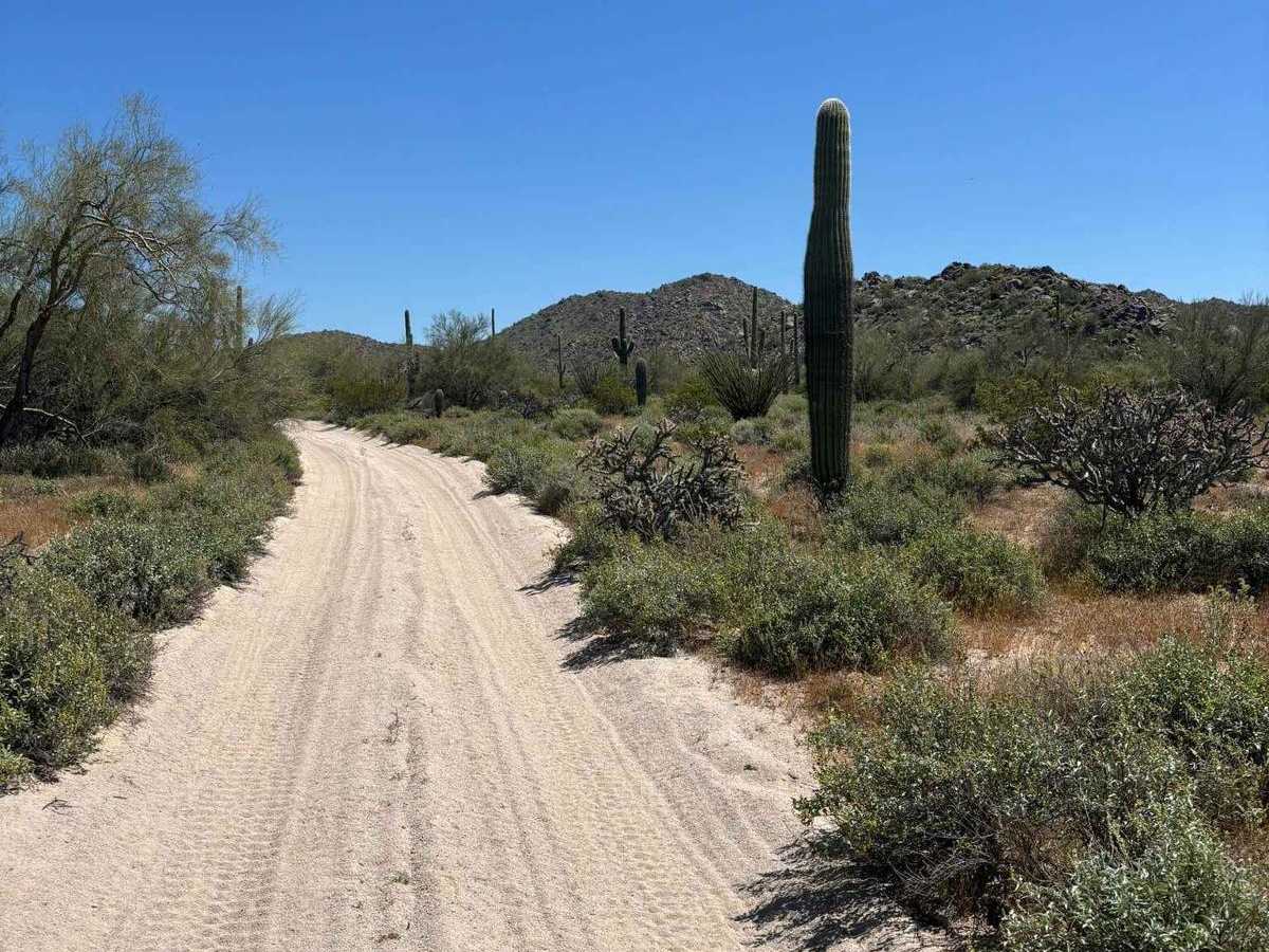 North Picacho Mountains Loop photo 4