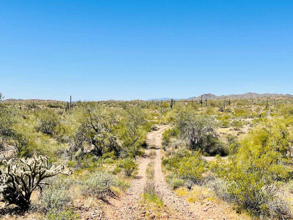 BLM 9064 photo 5