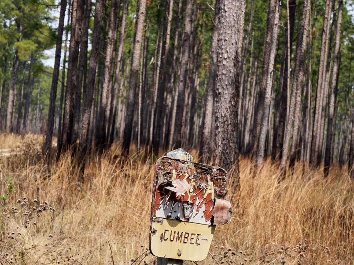 Cumbee Alternative - FSR176a trail photo