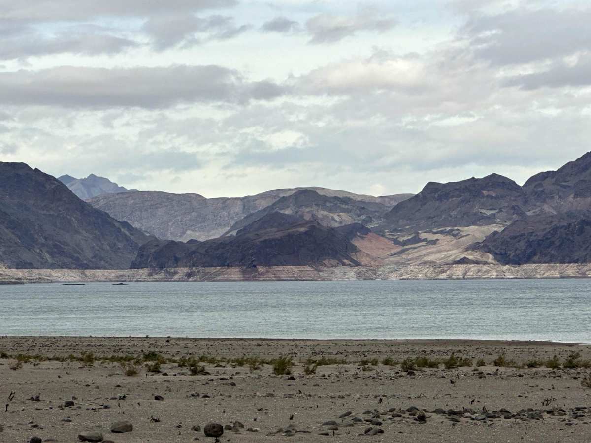 Bonelli Landing photo 5