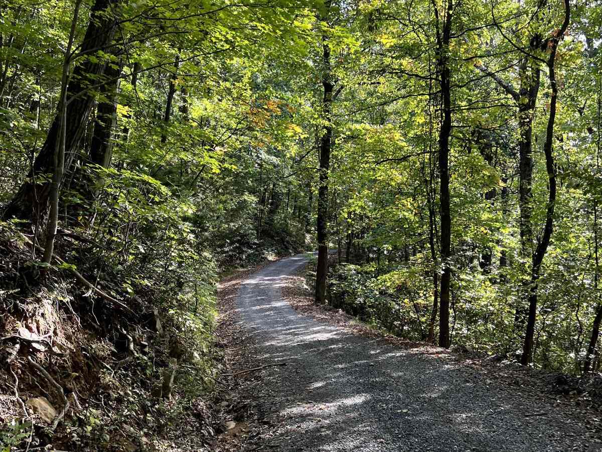 Riser Road photo 5