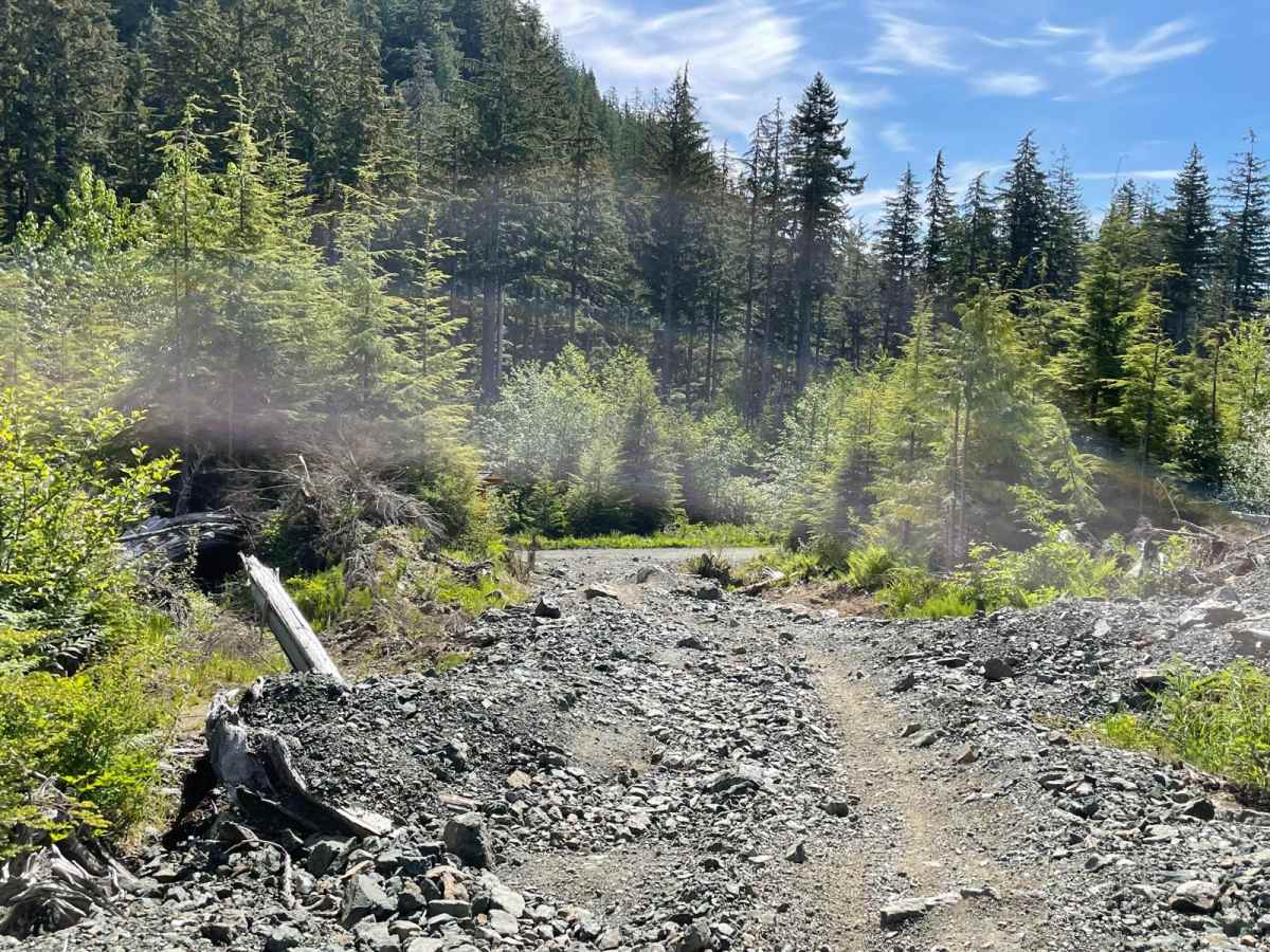 Humps and Bumps trail photo