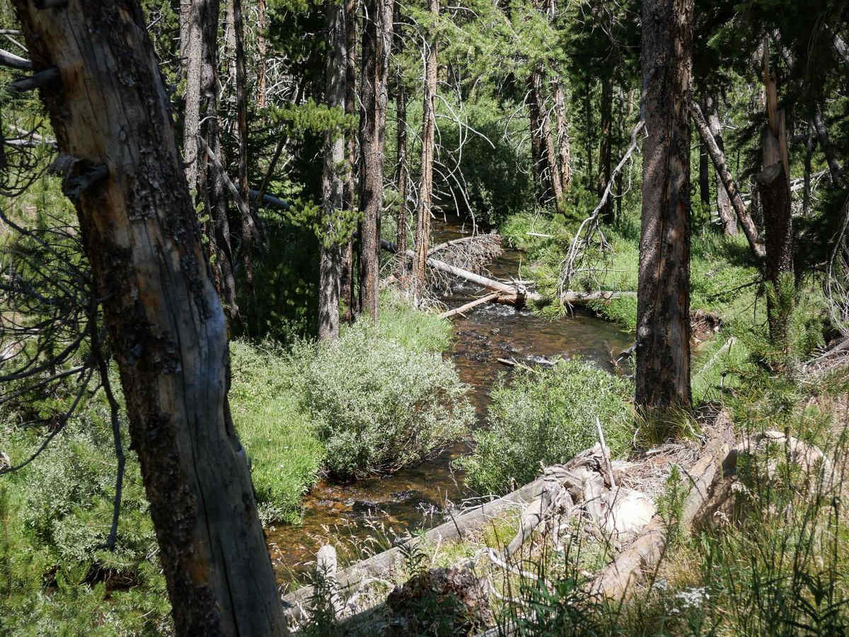 Frenchman Creek photo 6