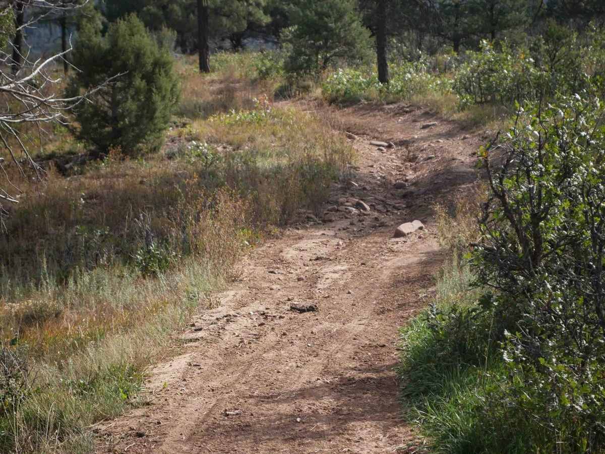 Horizon Loop photo 3