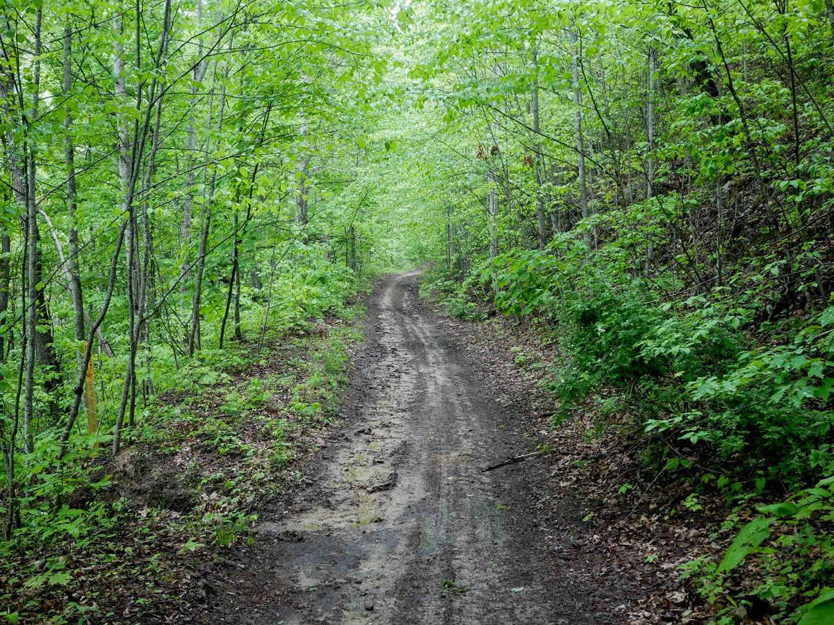 RH 125 photo 3