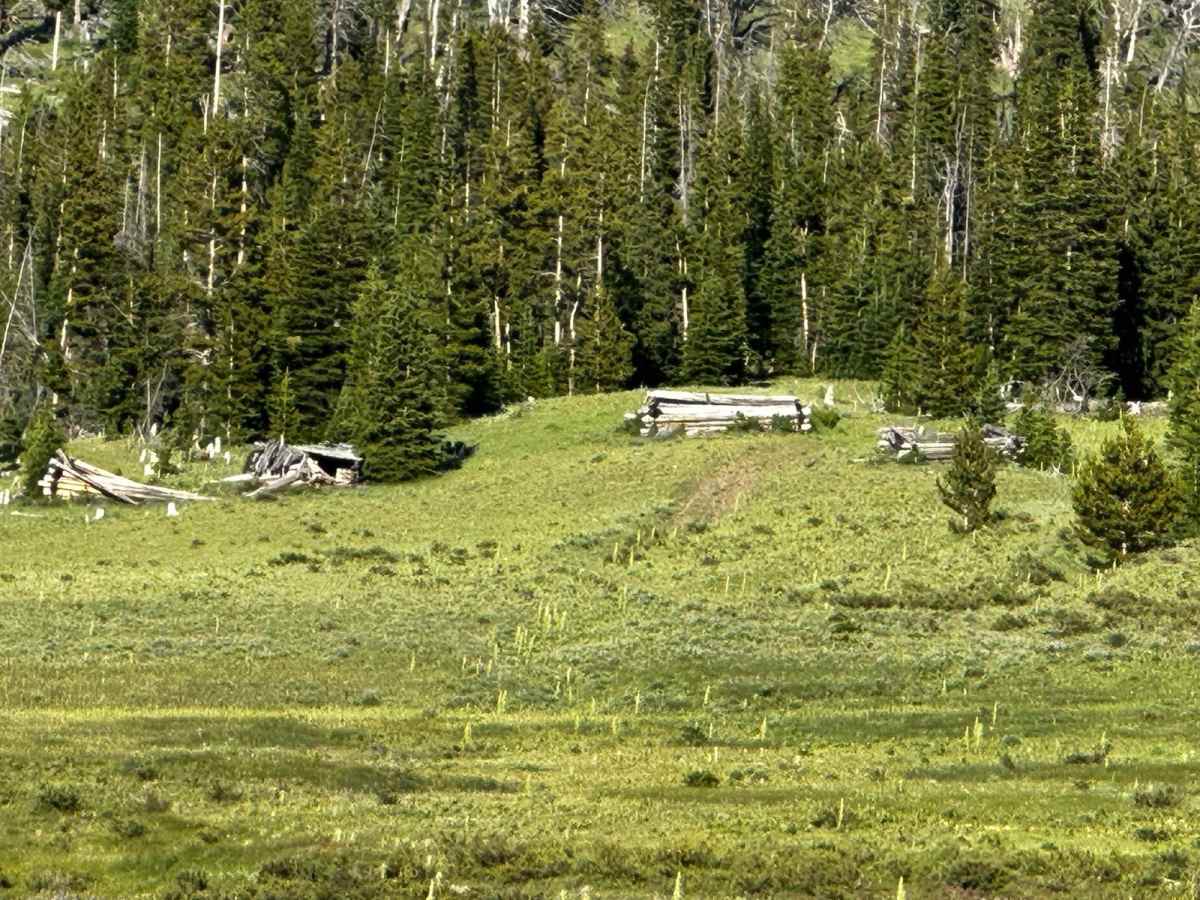 Carter Mountain Access photo 5