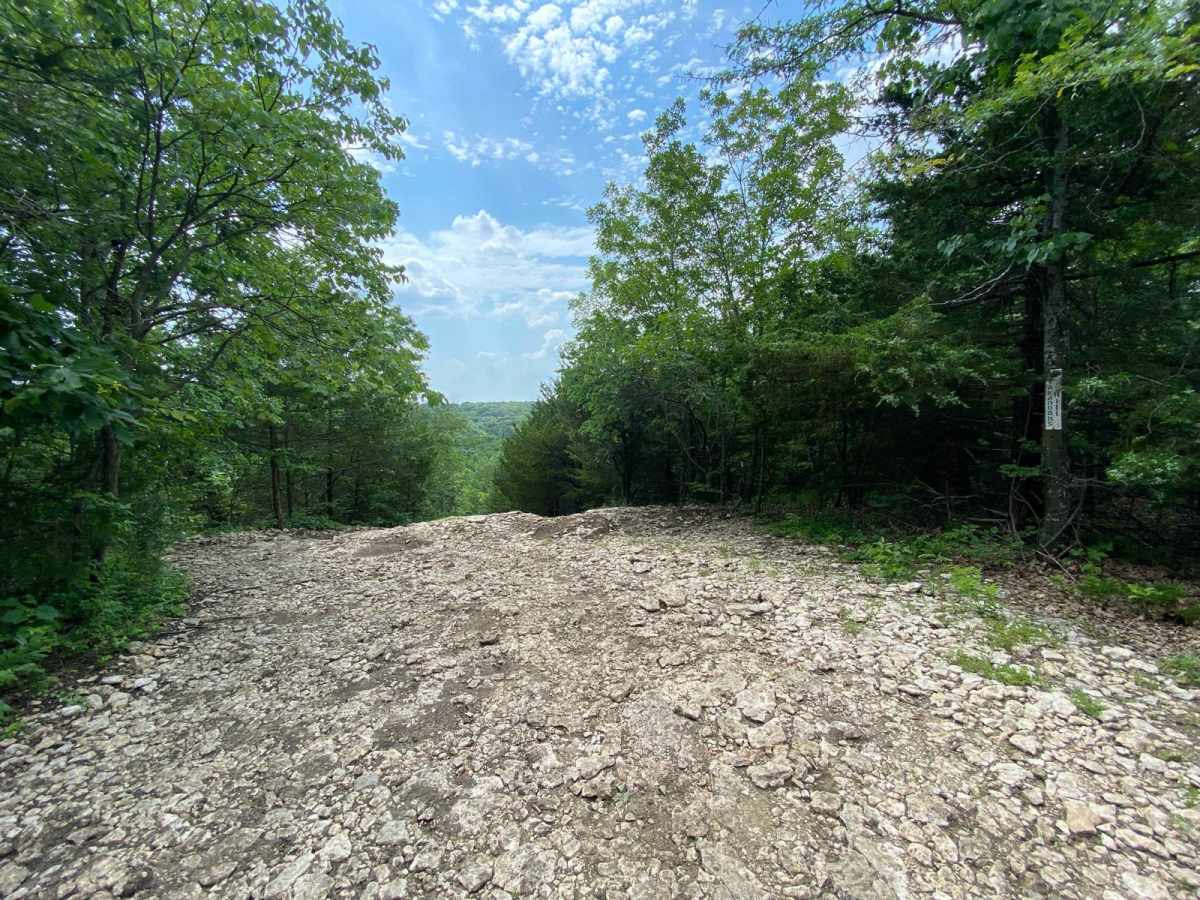Takanoah's Hill photo 6