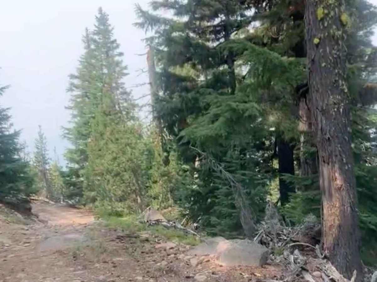 Cultus Mountain Trail photo 3