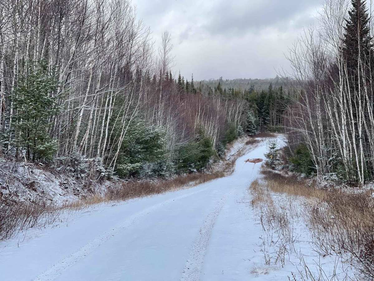 Wet Meadow Road photo 4
