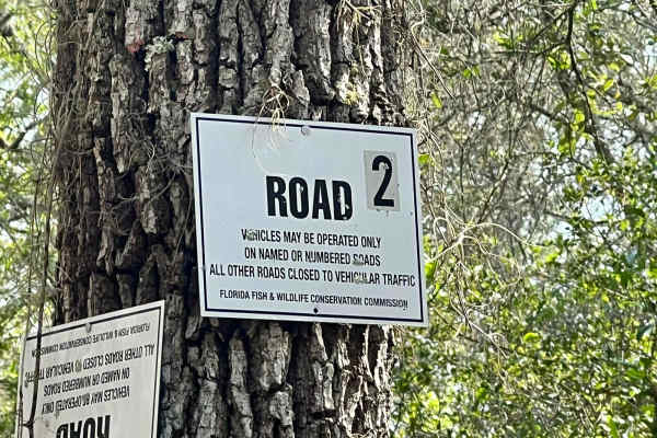 Citrus Wildlife Management | Trail 2