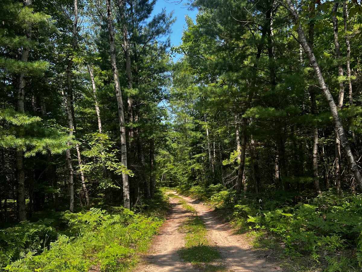 25 1/4 Trail photo 2