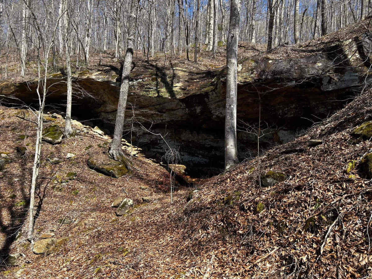 Arrington Branch Pass trail photo
