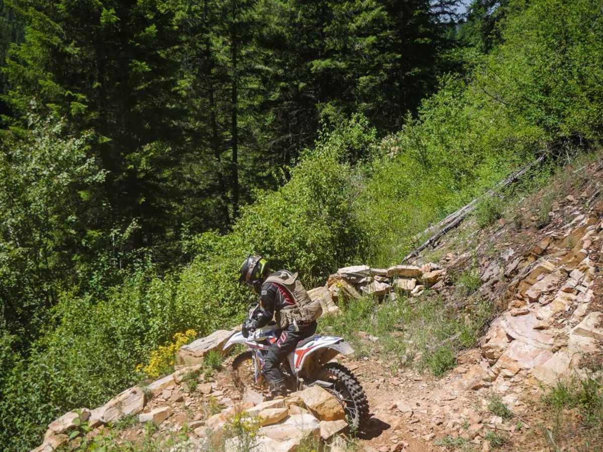 Nelson Ridge photo 2