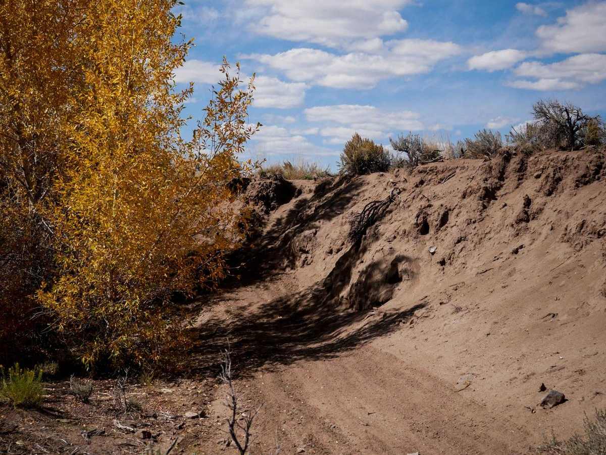 Sandy Wash photo 2
