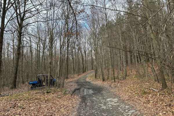 Locust Gap Highway
