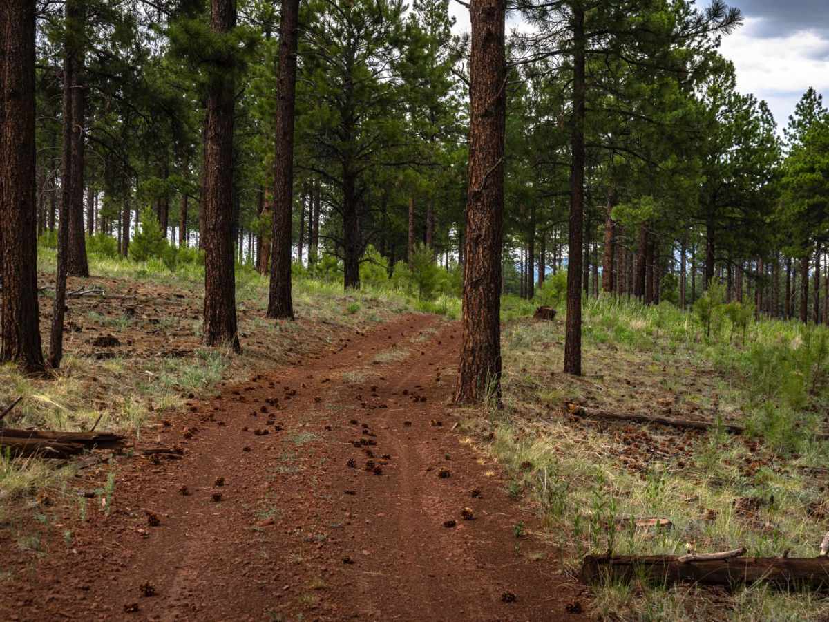 Section 16 Hill photo 3