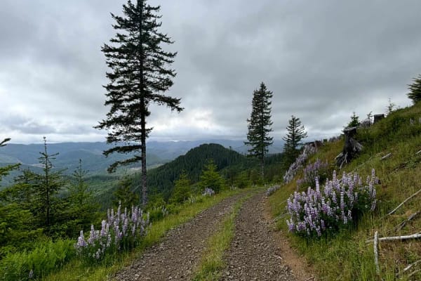 Murphy Guard Station Loop