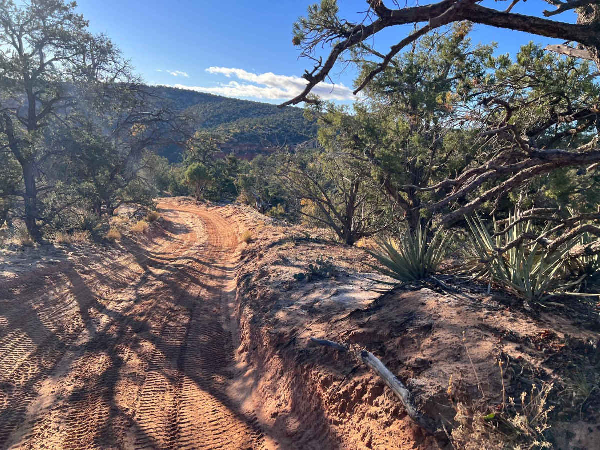 Hog Canyon 1 East - Mosdell Hill+ (BLM HC1Z) photo 6