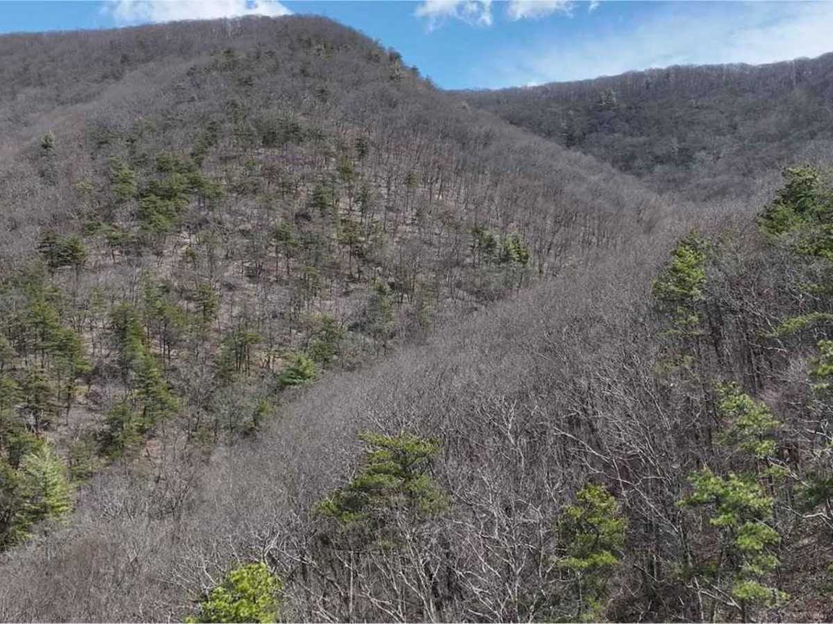 Hite Hollow photo 4