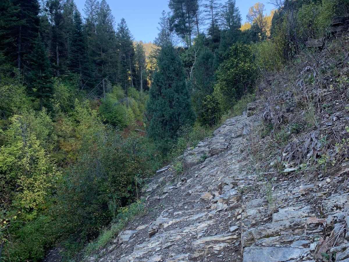 Fall Creek Indian Creek photo 6