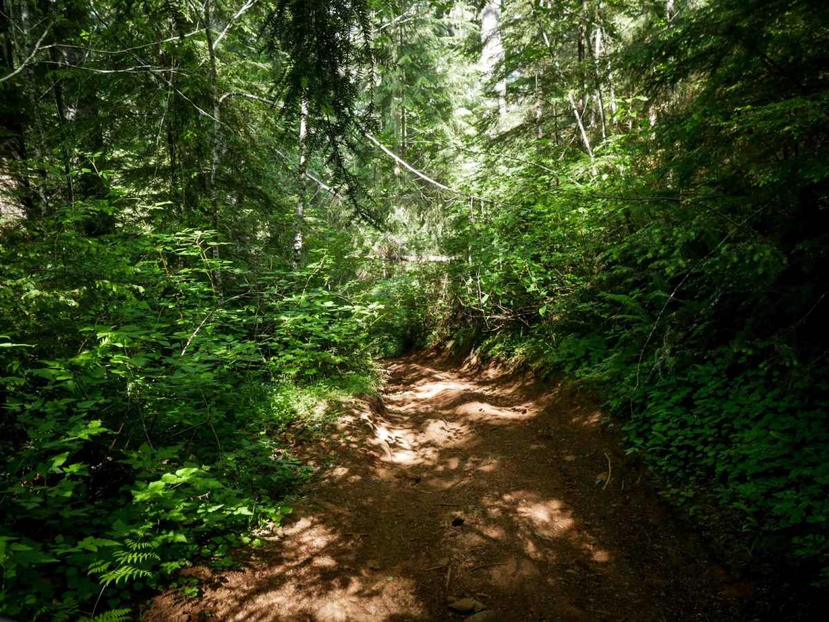 Hunt Hill photo 4