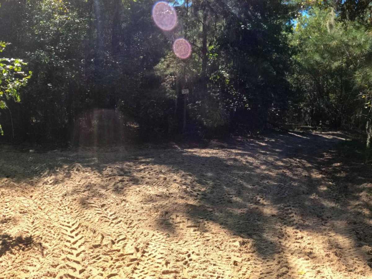 Fox Hollow photo 3