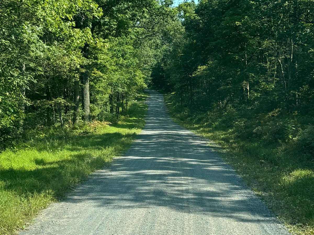 Underwood Road photo 3
