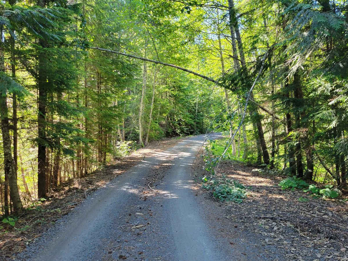 FR 6507 - Outlaw Road photo 3