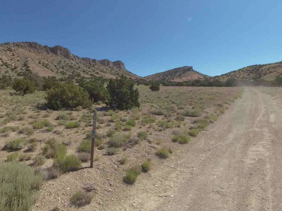 Conger Mountain OHV Route 8 trail photo
