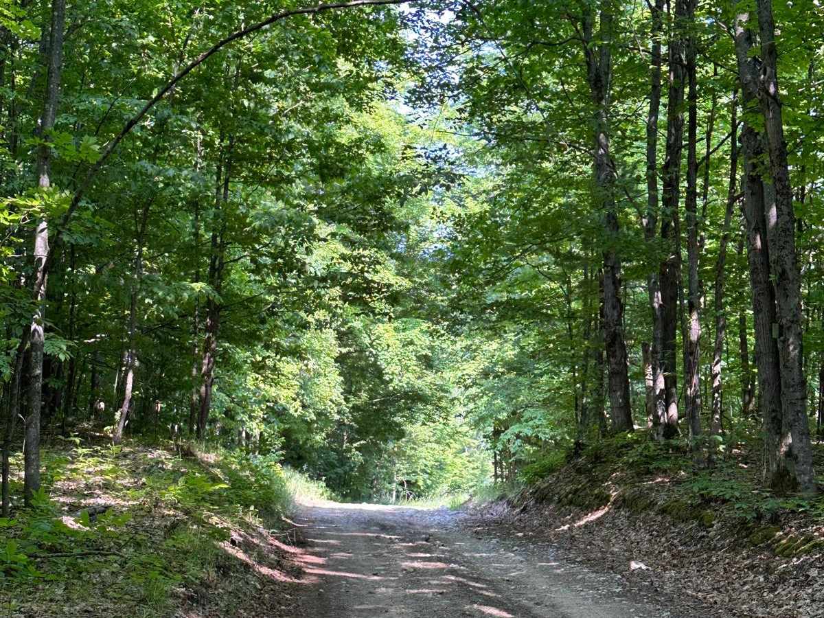 Trail 48466 photo 2