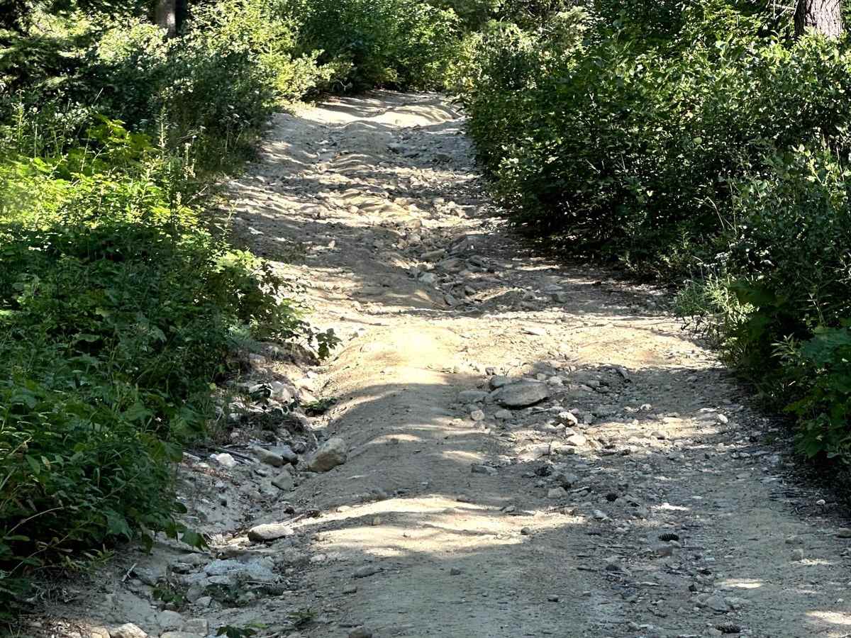 Sepp's Point (Pole Ridge Trail) photo 5