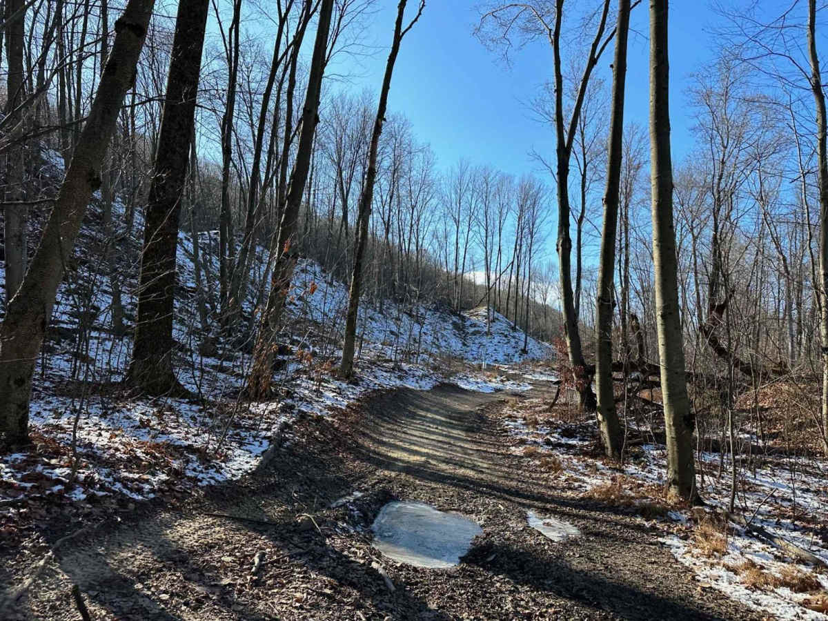 Locust Gap 71 photo 2