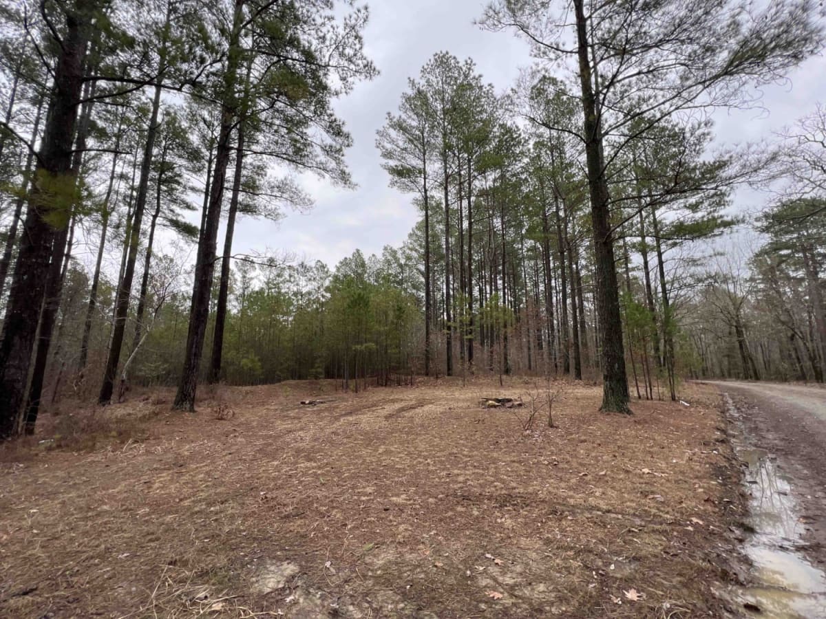 Alum Fork Road 114 photo 6
