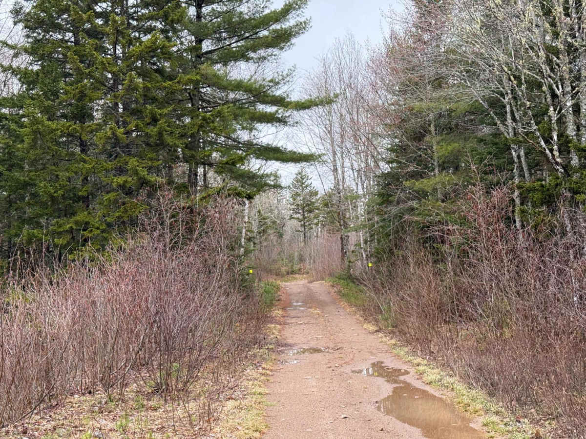 Route 50 photo 6