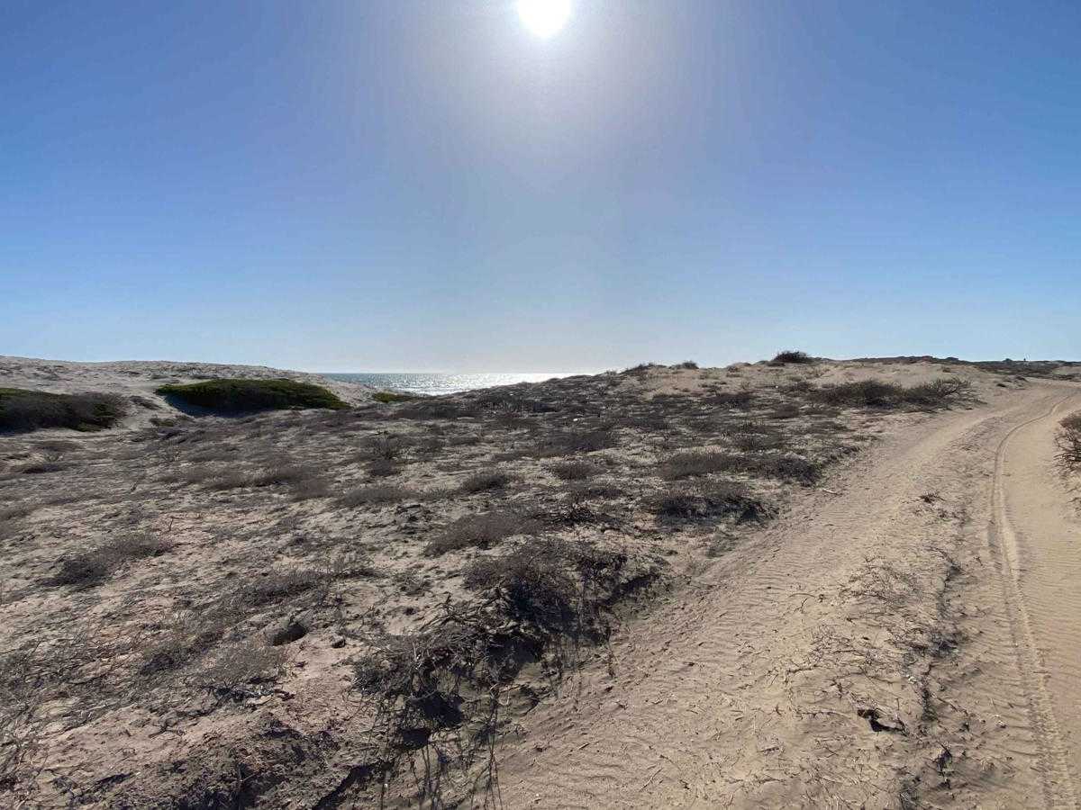 Playa Loop photo 2