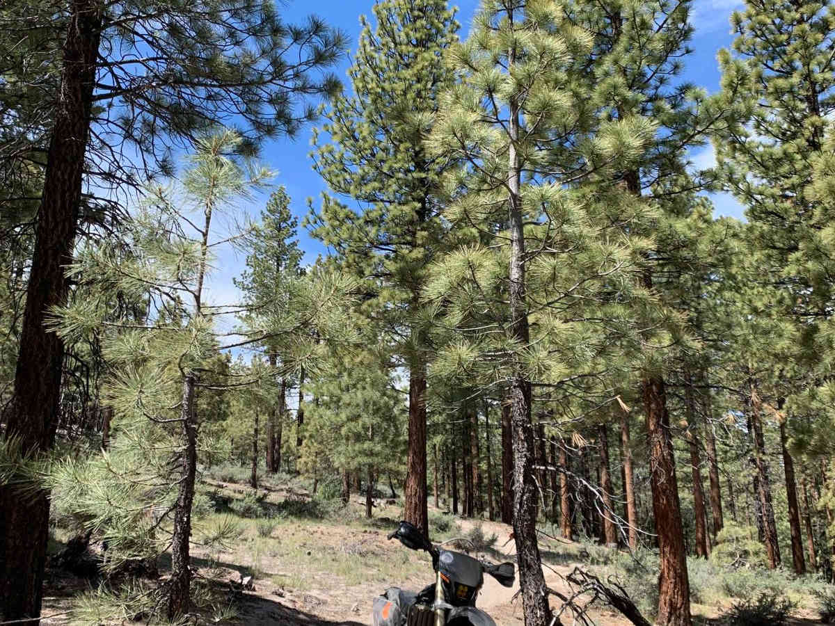 Gilbert Ridge (28E213) photo 2