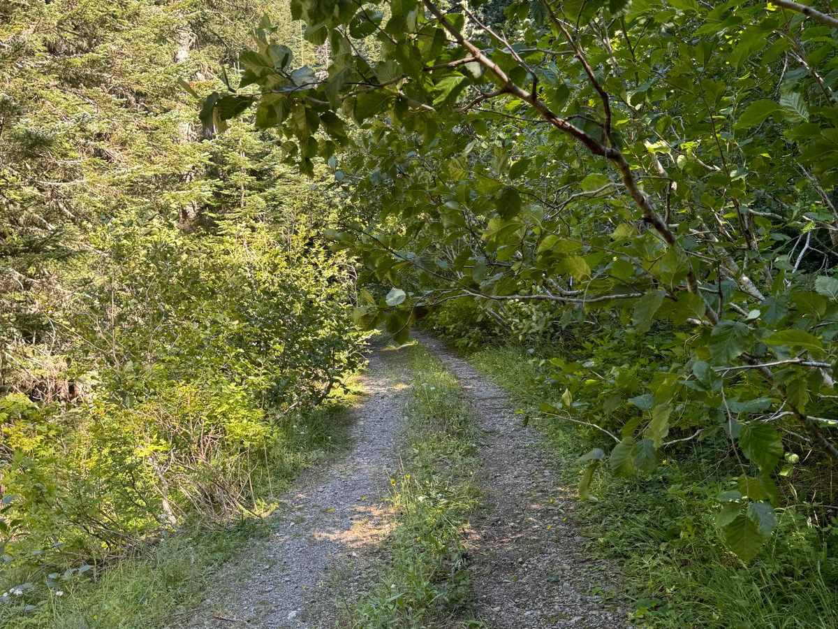 East Fork Lewis Road Connecting Trail photo 2