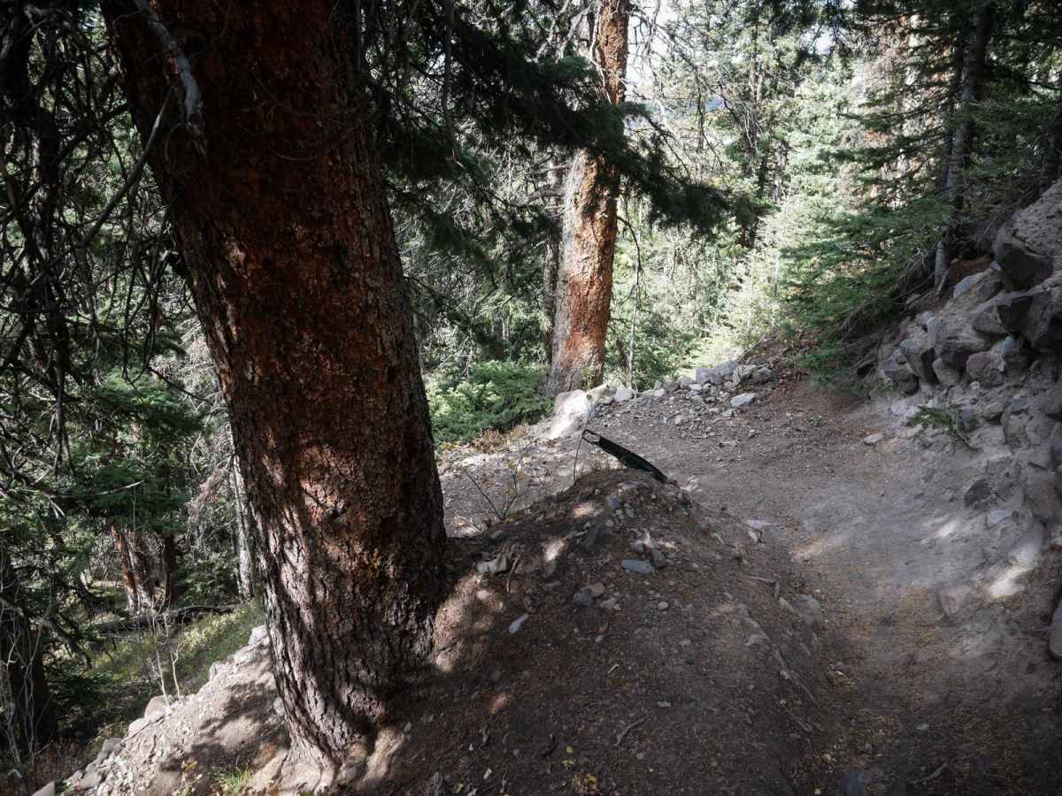Nate Creek photo 3