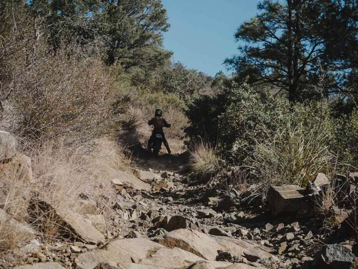 Watershed trail photo