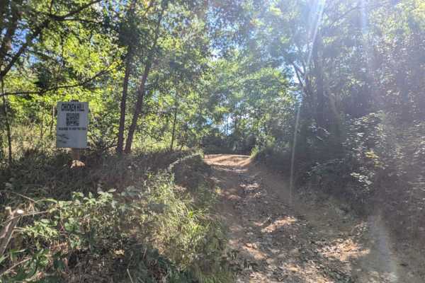 Chicken Hill