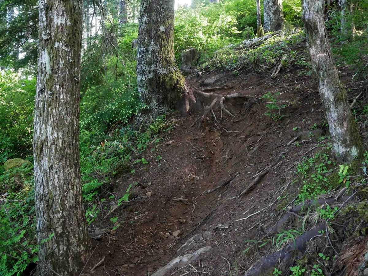 #41D trail photo