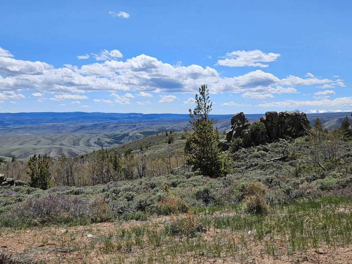 Jelm Mountain photo 6