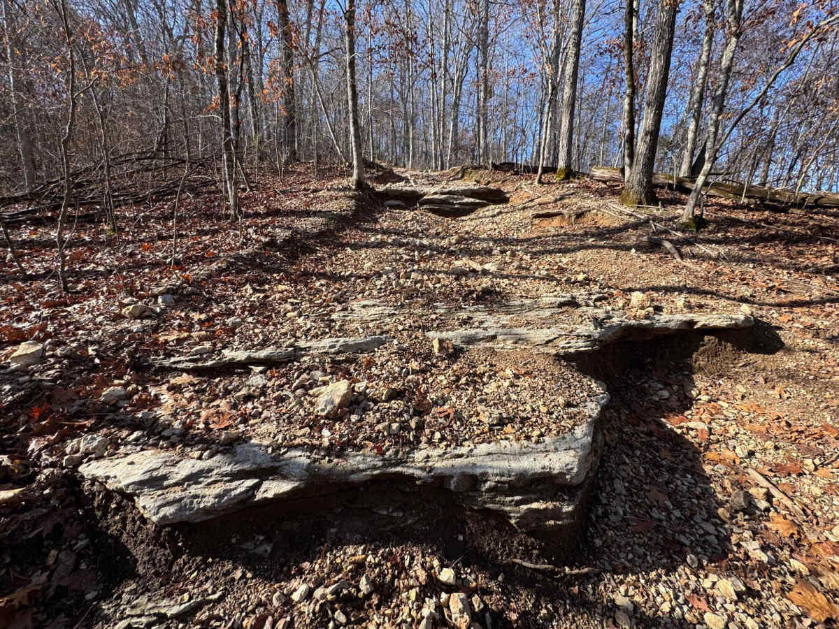 Red 331 trail photo