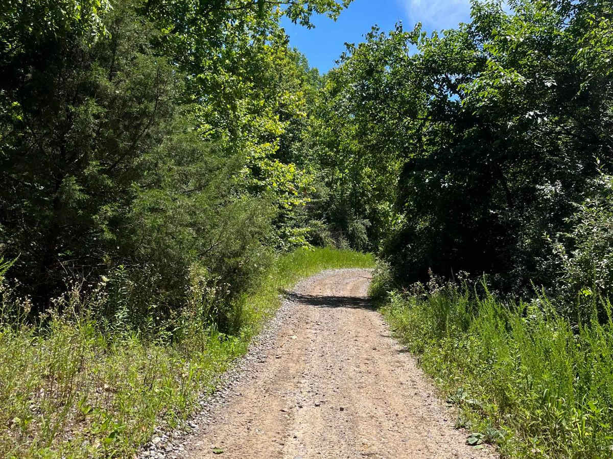 Amax Haul Road photo 2