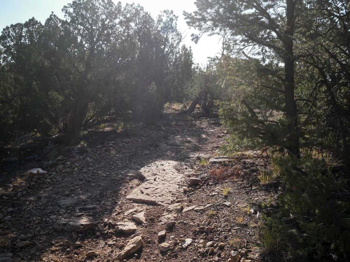Fred Garza Memorial Trail photo 6