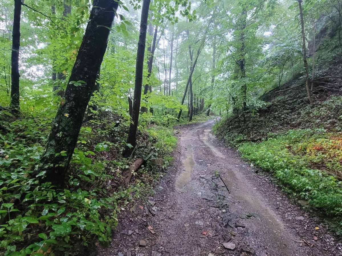Trail 87 - Poplar Creek photo 4