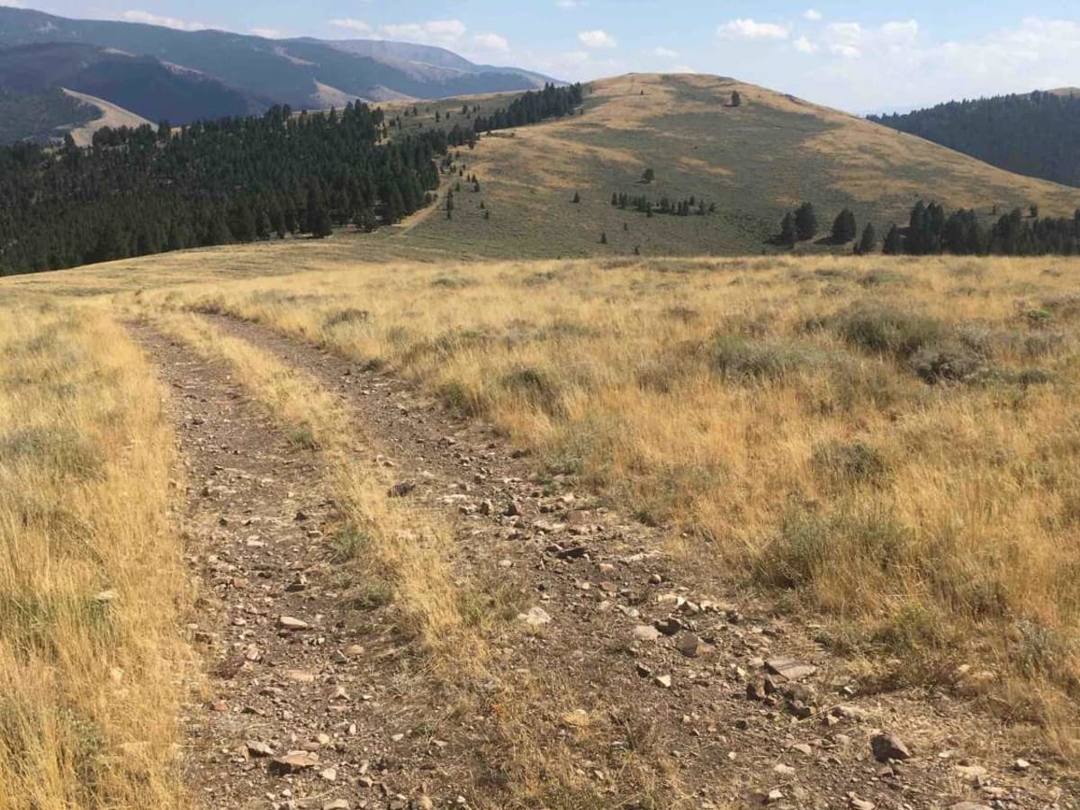 Ramsey Mountain Road photo 5