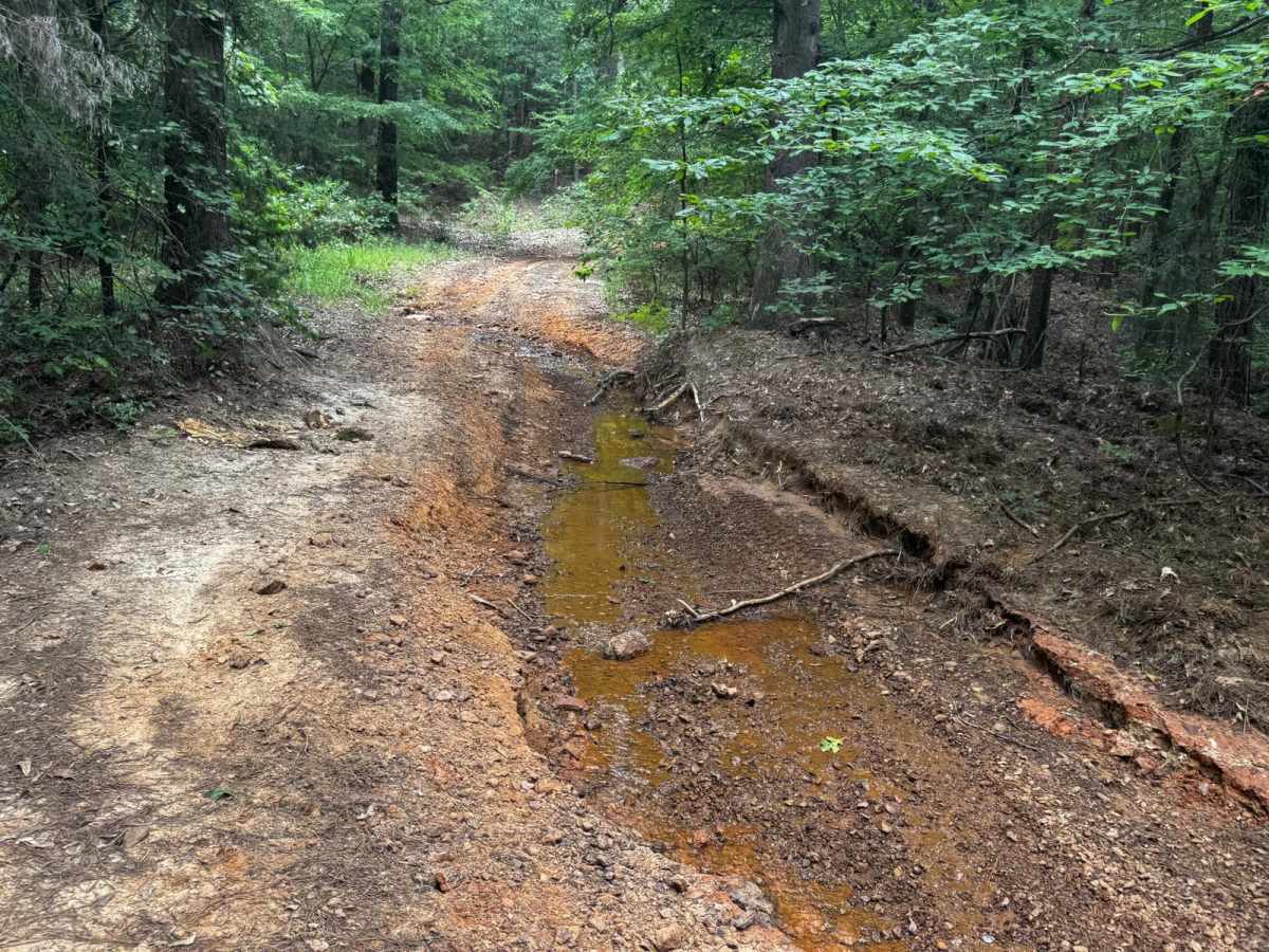 CM Drive trail photo