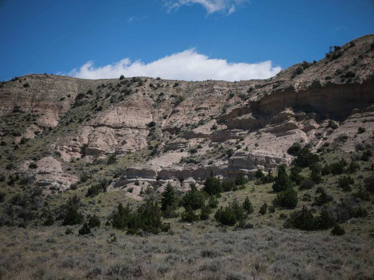 BLM 3 photo 3