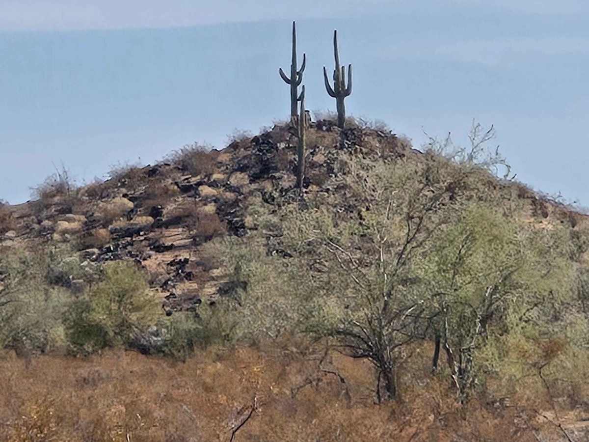 Dragon's Tooth photo 5